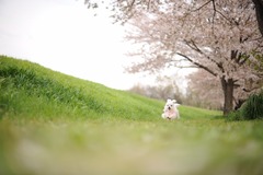 写真_181124_0013