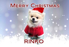 クリスマスサンプル07rinko