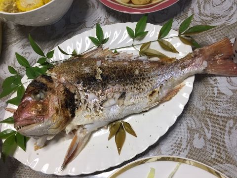 IMG_6576 (480x360)