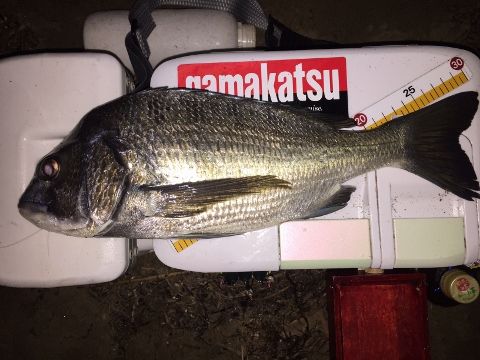 FullSizeRender (480x360)