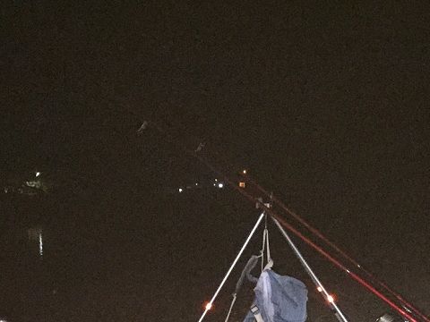 IMG_2522(480x360)