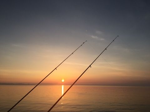 IMG_6551 (480x360)