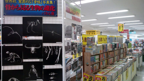 20110311143834