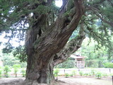 建長寺1