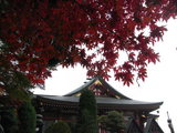 大山15