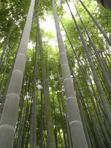 09鎌倉18