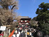 鎌倉6