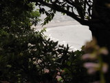09鎌倉4