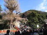 鎌倉5