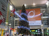 大野クリスマス6