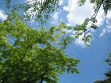 鎌倉1