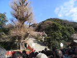 鎌倉4