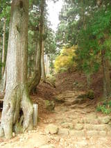 大山14