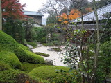 837f3c6f.JPG