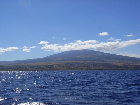 ハワイ島1