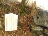 大山11