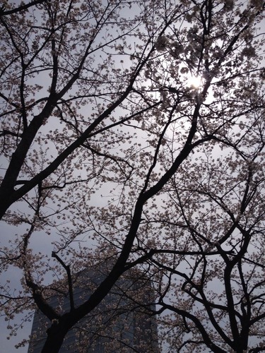 2014-04-01-12-19-39