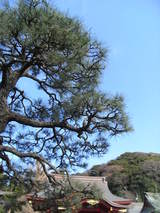 鎌倉3