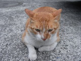 09鎌倉21