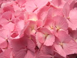 09鎌倉7
