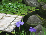 長谷寺6