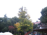 c01c2693.JPG