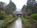 caff7609.JPG