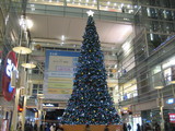 大野クリスマス1