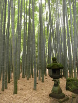 09鎌倉16