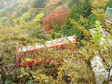 大山18
