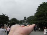 09鎌倉14
