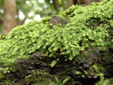 09鎌倉19