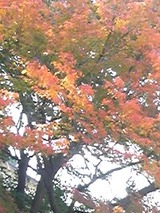 62f02482.jpg