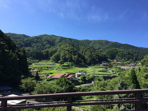sIMG_3330