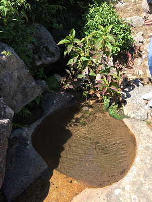 sIMG_3312