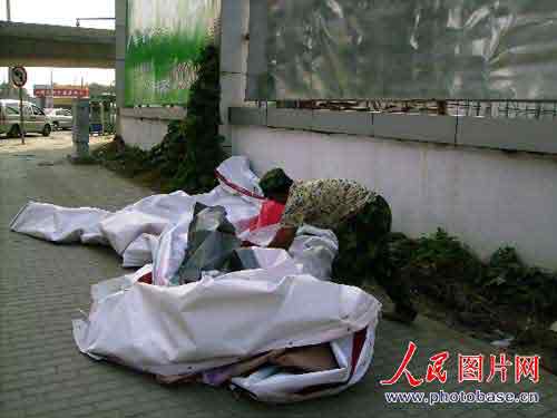 AV��ͥ�μ̿�������ʳ�Ƭ�ݥ������ˣ�