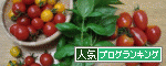 banner2