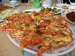 09年6月香港蒲台島5#