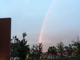 IMG_4959