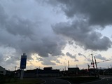 IMG_8232