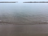 IMG_6641
