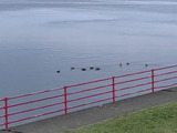 IMG_7592