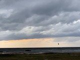 IMG_7992