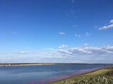 IMG_6959