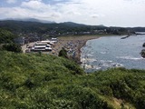 IMG_5905