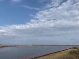 IMG_0148