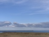 IMG_9249