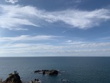IMG_7530
