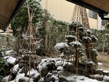 IMG_9869