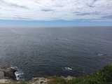 IMG_5830